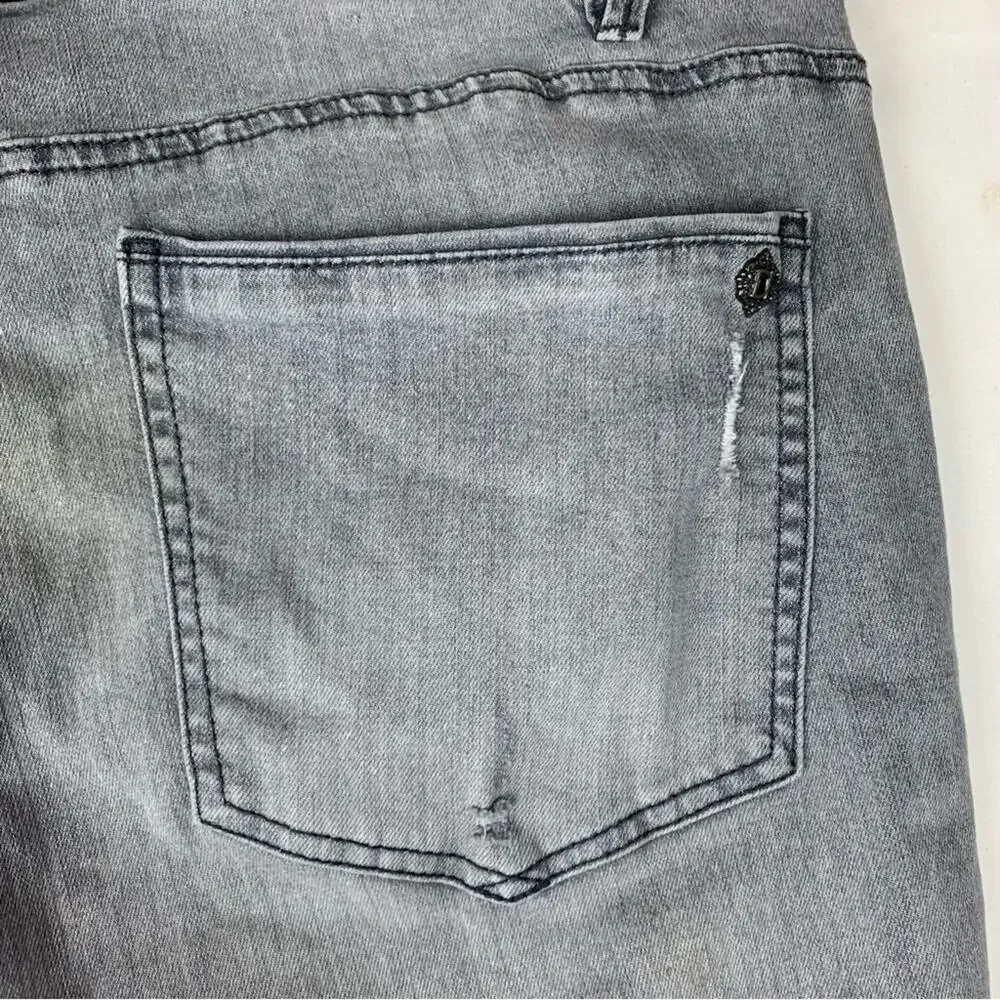 Democracy absolution gray